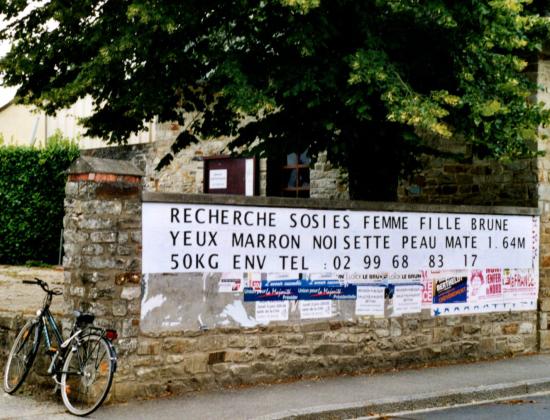 annonce-sosie-arbre-velo.jpg